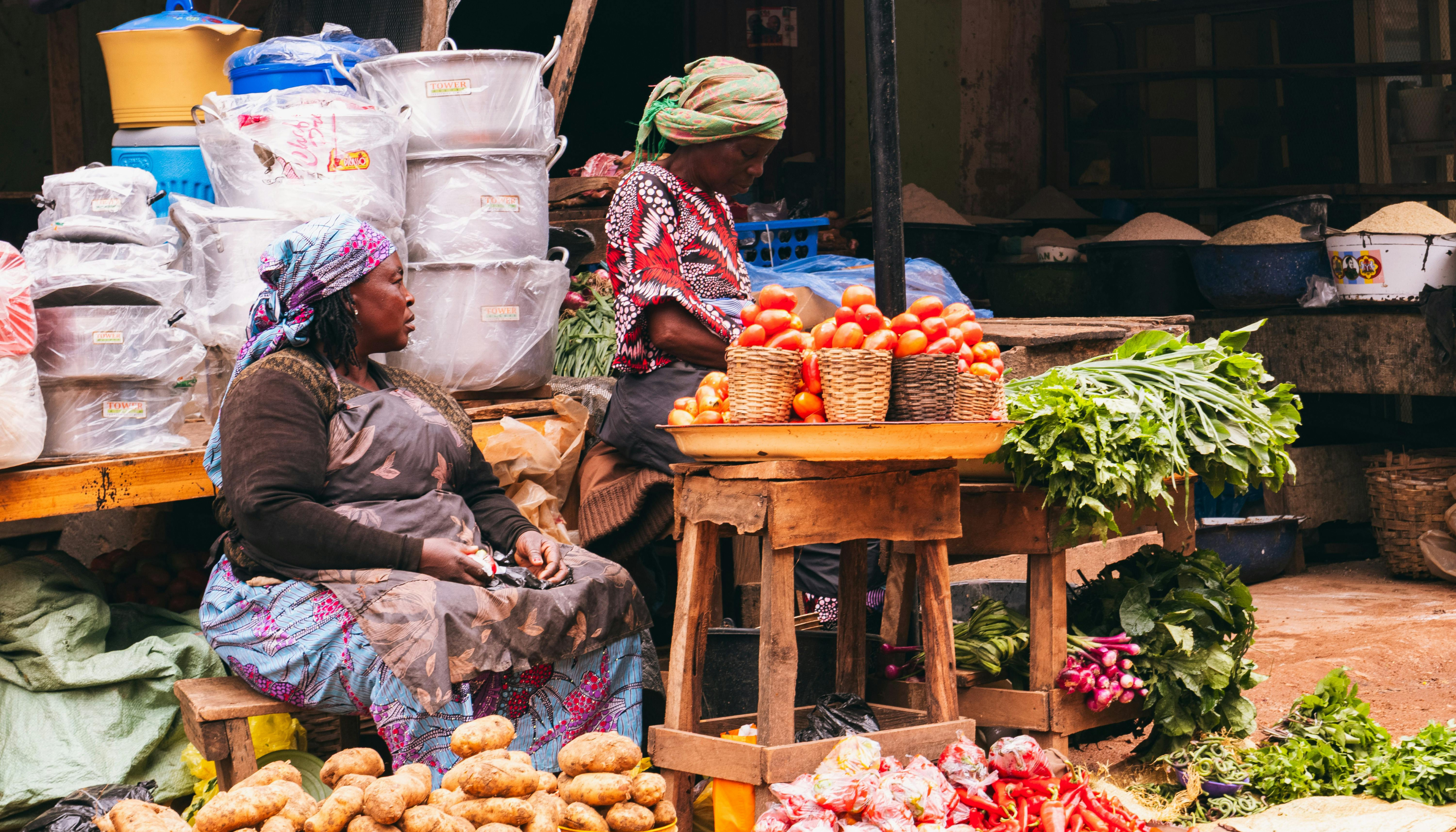 C-Kopa loan guarantee — professional support