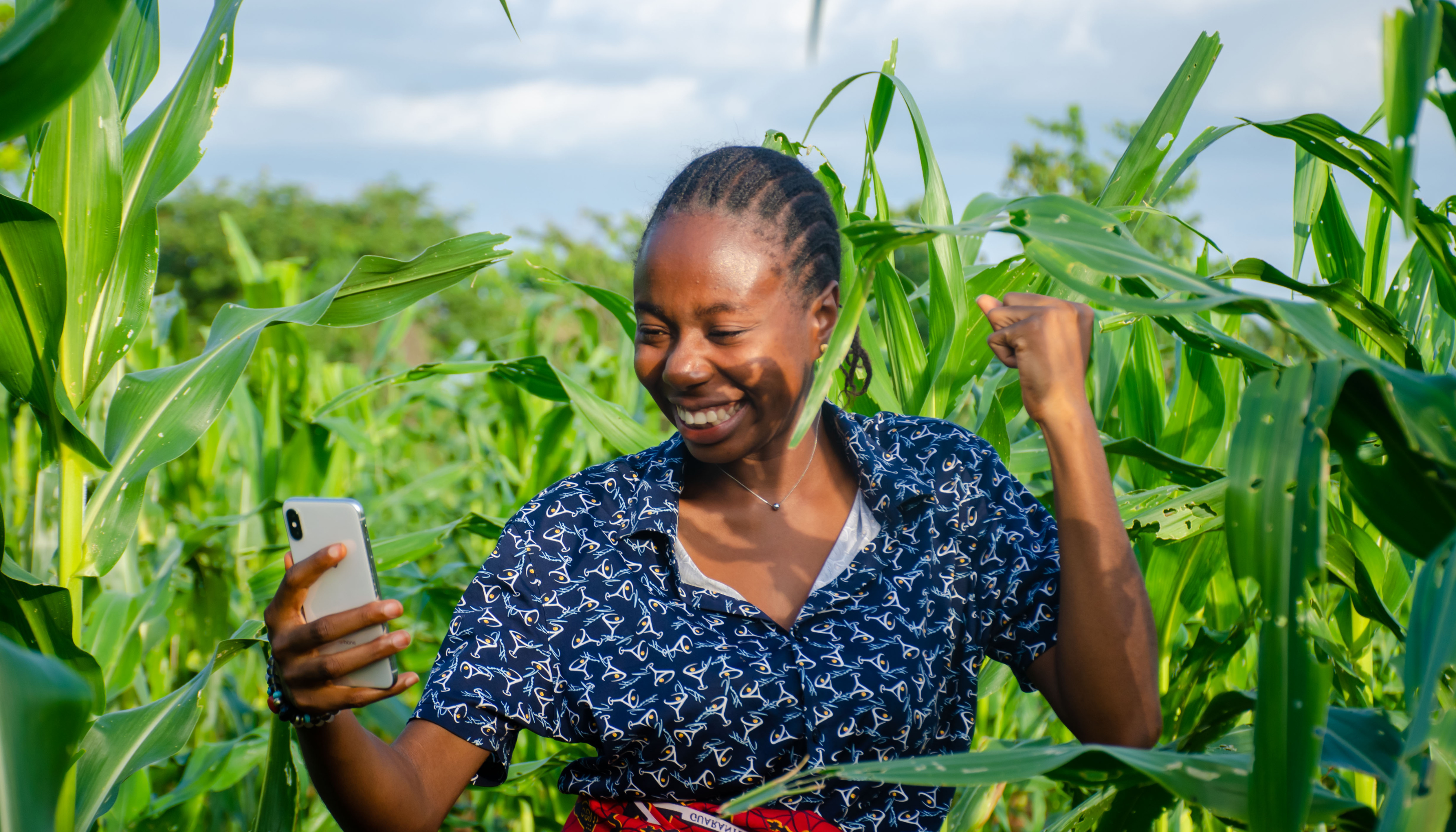 C-Kopa loan guarantee — partnership with lenders